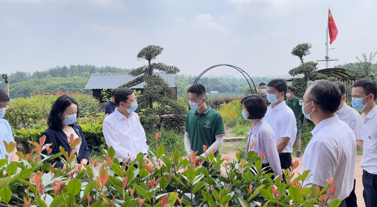 夏帆参加