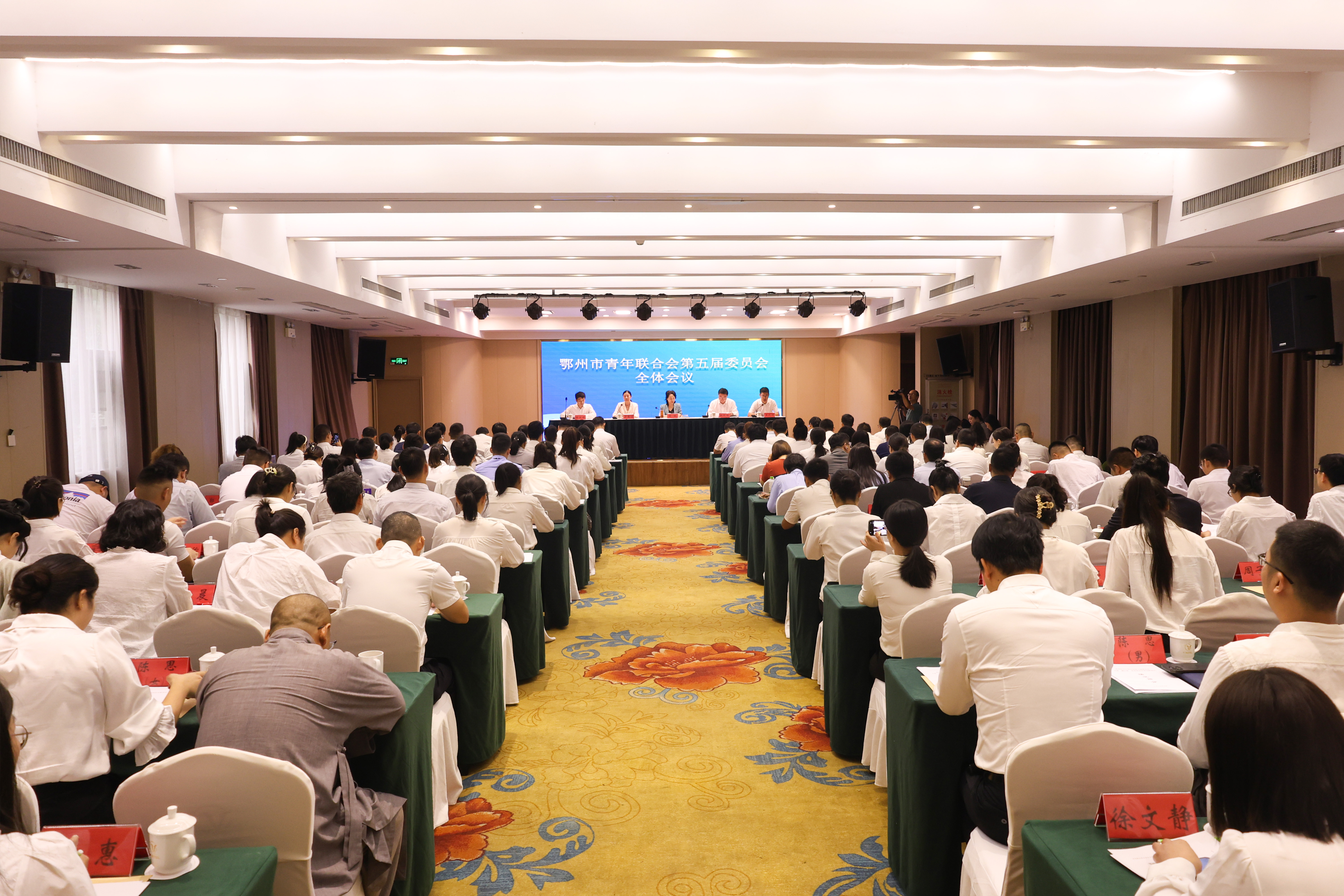 市青联第五届委员会全体会议召开